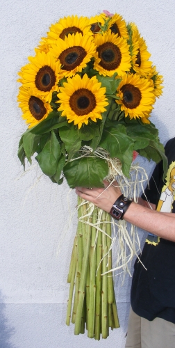 Pracownia kwiaciarni - Kwiaciarnia Aga